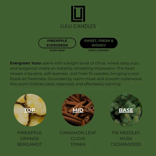 Miniatura 3 de Lulu Candles: Piña Evergreen (9 onzas), Velas de alta calidad altamente perfumadas en caja de regalo para el hogar y la oficina, vela en tarro