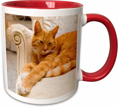 Miniatura 9 de 3D Rose Happy Orange Tabby Cat Relaxing on Fancy Armchair - Taza de cerámica de dos tonos, color negro