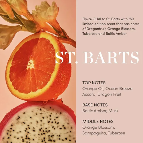 Miniatura 4 de OUAI St. Barts - Exfoliante corporal con mezcla de azúcar y aceite de coco para piel suave e hidratada, exfoliante suave para eliminar