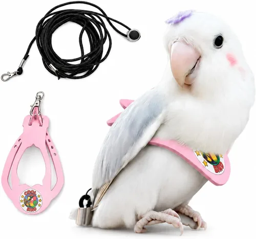 Miniatura 31 de Juego de arnés ajustable y correa para pájaros pequeños, apto para periquitos, conures, cacatúas, mejillas verdes, loros cuáqueros (verde, XS) 6350-6