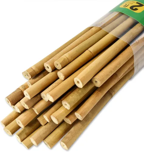 Jollybower 30 piezas de estacas de bambú de 3/10" D más gruesas y resistentes de 2 pies, estacas naturales de jardín para tomate, frijol, flores,