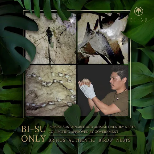 Miniatura 5 de BI-SU Crema de manos Hidratante de manos, extracto natural de nidos Swiftlet, colágeno, ácido siálico, EGF, cuidado de la piel japonés