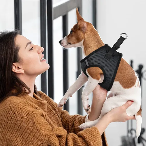 Miniatura 8 de Dogline York Step-in Air - Arnés de malla para perro, sin estrangulamiento, chaleco suave acolchado en el pecho para cachorros, perros pequeños