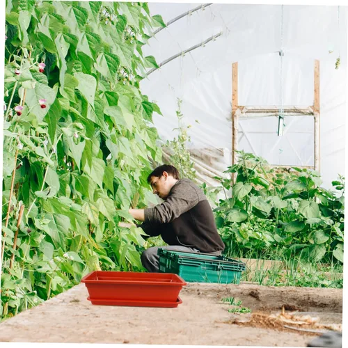 Miniatura 6 de Yardwe Contenedor de planta suculenta Rectángulo de plástico Maceta de vegetales Caja con drenaje Decoración de jardín