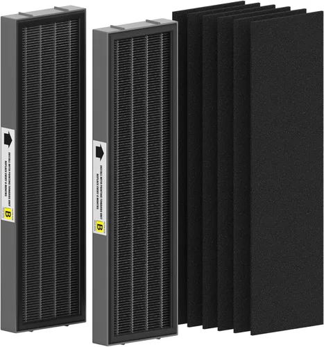 Filtro B de repuesto HEPA transparente de humo compatible con AC4825 AC4300 AC4800 AC4900 AC4850, 2 filtros HEPA verdaderos y 6 prefiltros de carbón