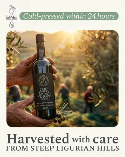 Miniatura 6 de ROI Aceite de oliva italiano virgen extra Liguria, cosecha temprana prensado en frío, alto polifenol, AOVE de origen único Taggiasca, 16.91 fl oz