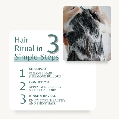 Miniatura 5 de Edenika Botanicals Juego de champú y acondicionador de aceite de romero con biotina para cabello fino y contra la caída del cabello, fórmula