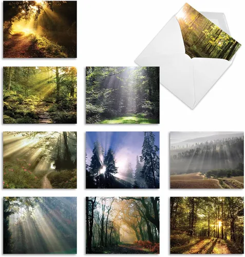 Miniatura 9 de The Best Card Company - Caja de 10 tarjetas para todas las ocasiones en blanco (4 x 5.12 pulgadas) - Tarjetas de paisaje panorámico surtidas