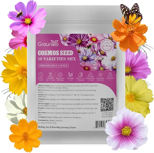 Miniatura 13 de Groundio Semillas de equinácea morada de 1 onza, semillas de equinácea perennes polinizadas abiertas sin OMG cultivadas en los Estados Unidos