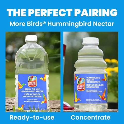Miniatura 9 de More Birds Bird Health+ - Comedero para colibríes rubí, comedero de vidrio para colibríes para exteriores, 4 estaciones de alimentación, 10 onzas