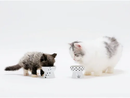 Miniatura 7 de Necoichi - Cuenco elevado de comida para gatos, cuenco elevado de cerámica para fatiga de bigotes y cuello, apto para lavavajillas y microondas