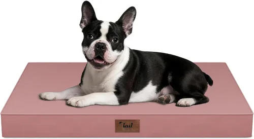 Miniatura 84 de Cama ortopédica de felpa para perros y cachorros medianos, camas impermeables para perros de 30 x 20 pulgadas con funda extraíble lavable, tapete