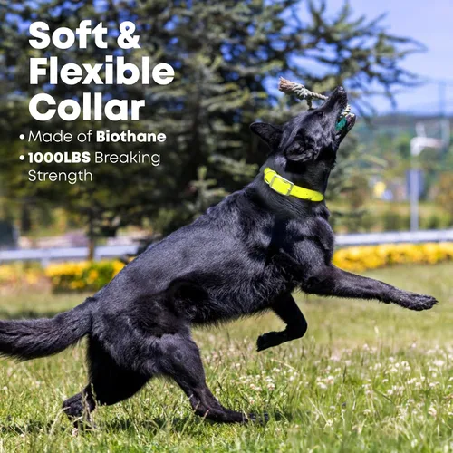 Miniatura 4 de Collar impermeable para perro con anillo central resistente Collar para perros pequeños, medianos, grandes o XL, Amarillo
