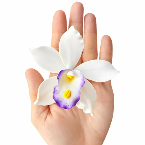 Global Sugar Art Flores de pastel de azúcar de orquídea nacarada, color blanco grande con morado, 4 unidades por el chef Alan Tetreault