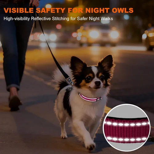 Miniatura 5 de Taglory Collar reflectante para perros con hebilla de bloqueo a prueba de escape, neopreno suave acolchado y anillo de aleación de zinc mejorado