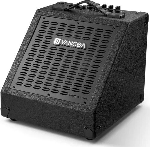 Vangoa Amplificador de Batería Eléctrica 40W Profesional, Altavoz, 3 Entradas, Ecualizador de 3 Bandas Inalámbrico para Monitor de Batería