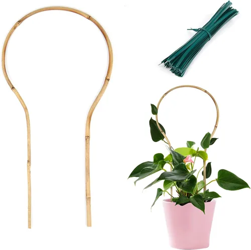 Miniatura 9 de Cambaverd Enrejado de plantas de interior para plantas trepadoras de 16 pulgadas, paquete de 6 enrejados de bambú para plantas en maceta