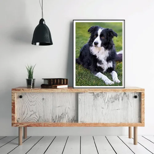 Miniatura 2 de YEEIFFD Pintura de diamante redondo Border Collie Dog DIY Rhinestone bordado arte adulto por número, kit de manualidades para decoración del hogar