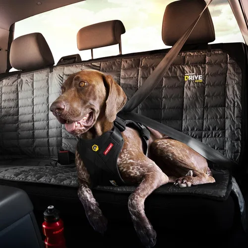 Miniatura 4 de Arnés de coche para perros EzyDog Drive – Arnés de cinturón de seguridad para perros a prueba de choques y certificado (US-FMVSS 213) para viajes