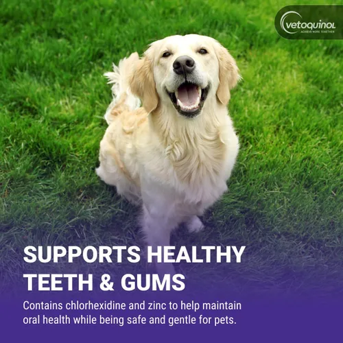Miniatura 5 de Vetoquinol Dentahex - Enjuague de higiene bucal para mascotas, 8 onzas