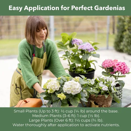Miniatura 7 de GARDENWISE - Fertilizante de hortensias de liberación lenta con hierro y azufre, acidificador de suelo para interiores y exteriores para un