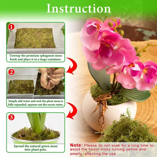 Miniatura 4 de Halatool Musgo de bosque verde de 1.1 libras, musgo esfagnum natural de 25 cuartos para plantas, musgo de orquídea esponjoso para trasplante