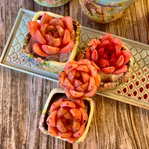Miniatura 6 de Echeveria - Kit de suculentas de vino tinto y champán, con maceta de plástico, 1 cabeza de planta viva de 2 pulgadas, suelo comprimido y guía