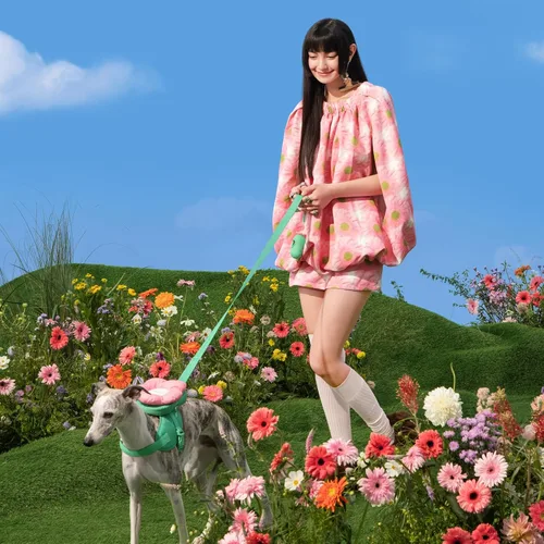 Miniatura 8 de VETRESKA Flora - Juego de arnés para perro, correa y collar, arnés de chaleco para perro sin tirones para caminar y entrenar, ajustable, fácil