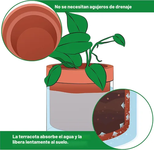 Miniatura 4 de Maceta Phoenix Vine de 6 Pulgadas con Riego Automático, Maceta de Arcilla Terracota con Reservario de Vidrio para Plantas de Interior, Hierbas