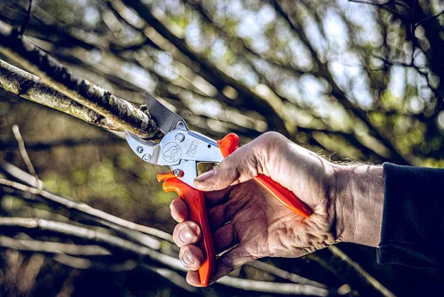 Miniatura 4 de Original LÖWE 10 tijeras de podar de yunque profesionales 10.107 con geometría de derivación – Tijeras afiladas innovadoras con asas ergonómicas