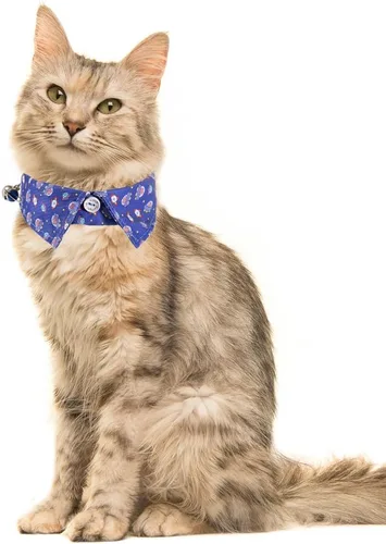 Miniatura 5 de Juego de 2 collares de gato con corbata de moño y campana para gatito ajustable de seguridad