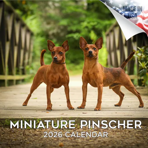 Miniatura 191 de Calendario 2025 2026 de American Staffordshire Terrier – Calendario mensual de pared de raza de perro – 12" x 24" abierto – Papel grueso sin