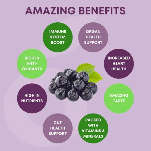 Miniatura 5 de Aronia SuperBerry - Gomitas de apoyo inmunológico diario, ricas en antioxidantes, mejor que la baya del saúco, gran sabor a bayas naturales, 60