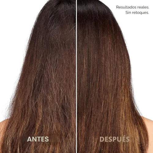 Miniatura 8 de L'Oreal Paris Set de Champú y Acondicionador Hidratante Libre de Sulfatos, Cuidado Capilar para Cabello Teñido con Botánicos de Romero, EverPure, 1
