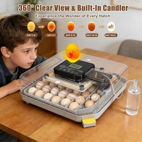 Miniatura 6 de ZEMIRO CHARGE 48 Incubadora de huevos para incubar huevos de gallina, pato, codorniz y loro, con giro automático de huevos y control de humedad