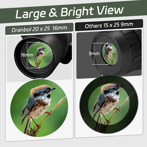 Miniatura 3 de Binoculares pequeños 20X25 para adultos y niños, binoculares de ocular grande para observación de aves con enfoque fácil, anteojos de ópera