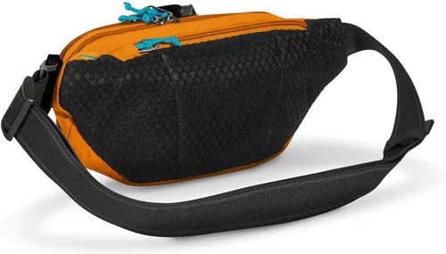 Miniatura 3 de Pacsafe Riñonera antirrobo ecológica