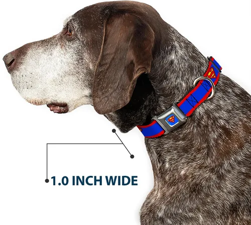Miniatura 6 de Collar de perro Hebilla de cinturón de seguridad Superman Shield Stripe Rojo Azul 9 a 15 pulgadas 1.0 pulgadas de ancho