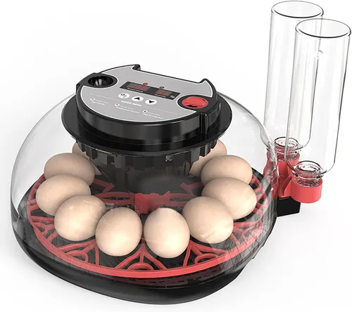 Incubadoras inteligentes de pollo para incubar huevos con volteador automático, aves, pato, codorniz, 12 huevos, incubadora de control de M12 Pro