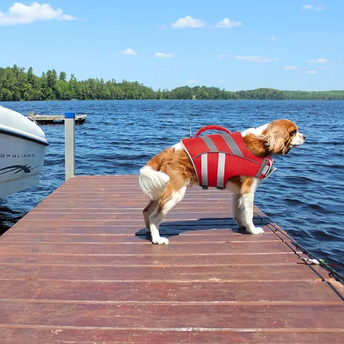 Miniatura 5 de Kuoser Chaleco salvavidas para perros con rayas reflectantes, chaleco salvavidas ajustable para mascotas con alta flotación, traje de baño