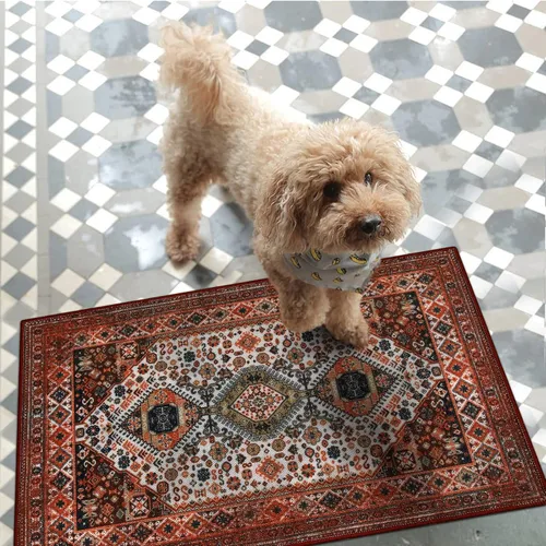 Miniatura 9 de Collive Tapete lavable para interiores, tapete retro antideslizante de bienvenida de 20" x 32" pulgadas, alfombra de área de absorción rápida, Rojo
