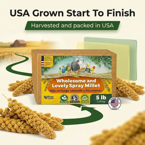 Miniatura 4 de Birds LOVE Mijo en aerosol saludable de 1 libra para pájaros, cultivado en Estados Unidos, natural secado al sol, racimos gruesos ricos en semillas