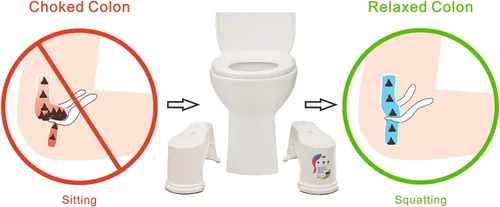 Miniatura 9 de EVRON Taburete de inodoro de 7 pulgadas para adultos, reposapiés movibles separados divididos de dos piezas con posicionamiento flexible, diseño
