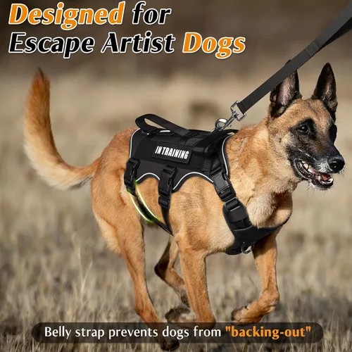 Miniatura 2 de WINSEE - Arnés para perro a prueba de fugas, arnés Molle de servicio y trabajo con doble asa, chaleco táctico para mascotas con 4 parches