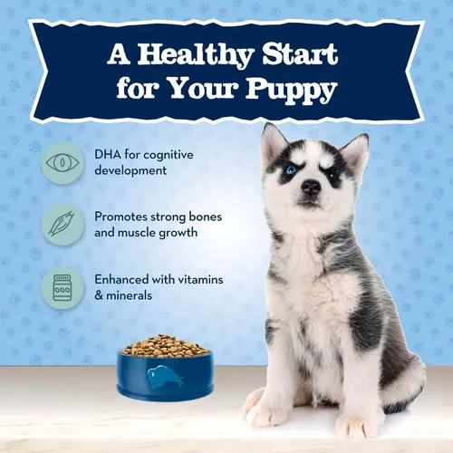 Miniatura 4 de Blue Buffalo Baby Blue - Alimento seco natural para cachorros, fórmula de crecimiento saludable con DHA, receta de pollo salado con alto contenido