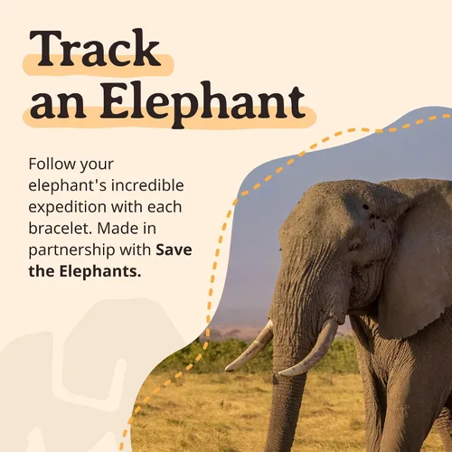 Miniatura 6 de Fahlo Pulsera de seguimiento de elefantes, elástica, soporta Save The Elephants, talla única para hombres y mujeres