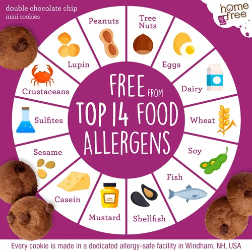 Miniatura 7 de Homefree Mini Caja de Galletas con Doble Chispas de Chocolate, Sin Gluten, Sin Nueces, Vegano, Seguro para la Escuela y Refrigerio Amigable