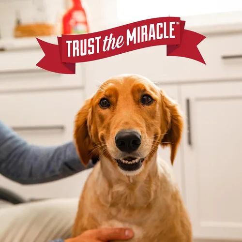 Miniatura 9 de Nature's Miracle Eliminador avanzado de manchas y olores para perros para desastres severos de los perros