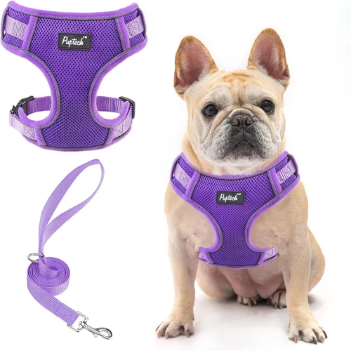 Miniatura 47 de PUPTECK Juego de arnés y correa para perro pequeño, arnés ajustable sin tirones para cachorro, chaleco de malla suave reflectante para mascotas