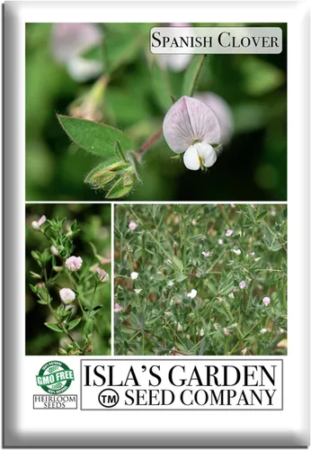 Semillas de flores de pie de pájaro americano "Spanish Clover" para plantar, más de 1000 semillas por paquete, semillas de jardín de Isla (semillas